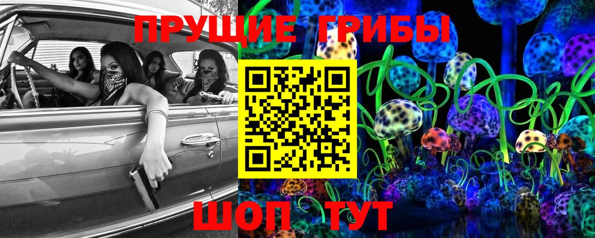 Псилоцибиновые грибы GOLDEN TEACHER  Вход с VPN  Клин  Галлюциногенные грибы Psilocybine cubensis 
